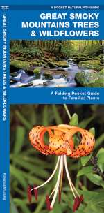 Great Smoky Mountains Trees & Wildflowers - Pocket Guide