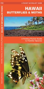 Hawaii Butterflies & Moths - A Pocket Naturalist Guide (9781583554265)