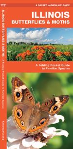 Illinois Butterflies & Moths - A Pocket Naturalist Guide (9781583554272)