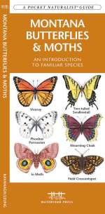 Montana Butterflies & Moths - Pocket Guide