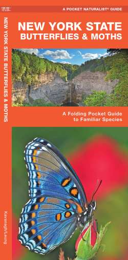 New York State Butterflies & Moths - A Pocket Naturalist Guide