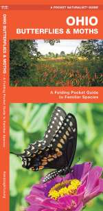 Ohio Butterflies & Moths - Pocket Guide