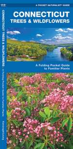 Connecticut Trees & Wildflowers - Pocket Guide