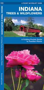 Indiana Trees & Wildflowers - A Pocket Naturalist Guide (9781583554470)