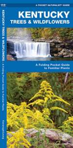 Kentucky Trees & Wildflowers - A Pocket Naturalist Guide (9781583554487)