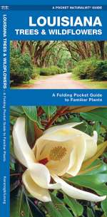 Louisiana Trees & Wildflowers - A Pocket Naturalist Guide (9781583554494)