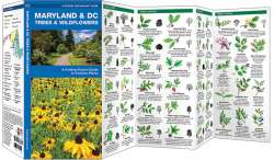 Maryland & DC Trees & Wildflowers - A Pocket Naturalist Guide