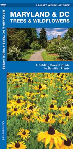 Maryland & DC Trees & Wildflowers - A Pocket Naturalist Guide