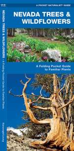 Nevada Trees & Wildflowers - Pocket Guide