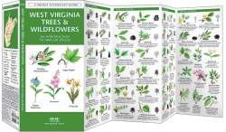 West Virginia Trees & Wildflowers - A Pocket Naturalist Guide