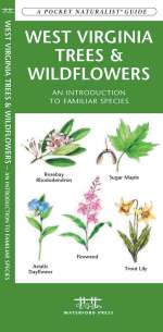 West Virginia Trees & Wildflowers - A Pocket Naturalist Guide (9781583554548)