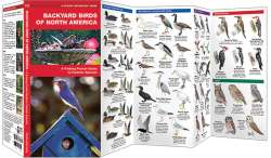 Backyard Birds of North America - A Pocket Naturalist Guide
