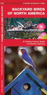 Backyard Birds of North America - A Pocket Naturalist Guide (9781583554647)