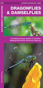 Dragonflies & Damselflies - Pocket Guide