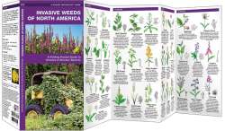 Invasive Weeds of North America