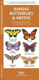 Kansas Butterflies & Moths - Pocket Guide