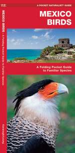 Mexico Birds - Pocket Guide