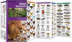 Ohio Wildlife