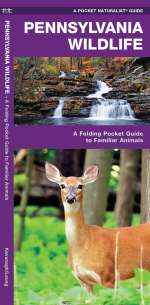 Pennsylvania Wildlife - Pocket Guide
