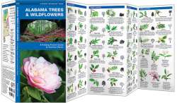 Alabama Trees & Wildflowers