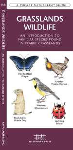 Grasslands Wildlife - Pocket Guide