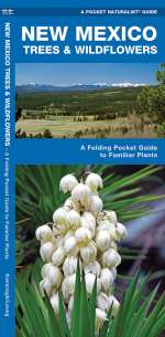 New Mexico Trees & Wildflowers - Pocket Guide
