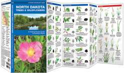 North Dakota Trees & Wildflowers