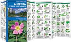 Alberta Trees & Wildflowers