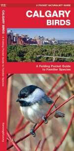 Calgary Birds - Pocket Guide