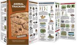 Animal Tracking