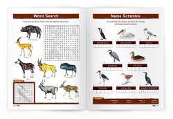 African Wildlife Nature Activity Book