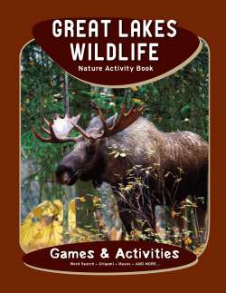 Great Lakes Wildlife Nature Activity Book