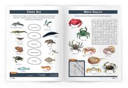 Seashore Wildlife Nature Activity Book