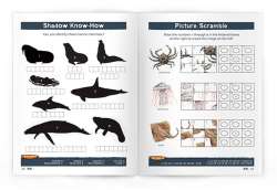 Seashore Wildlife Nature Activity Book