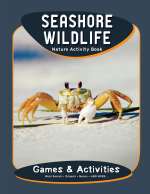 Seashore Wildlife Nature Activity Book