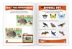 My First Forests Nature Activity Book
