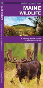 Maine Wildlife - Pocket Guide