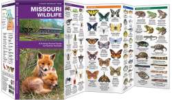 Missouri Wildlife