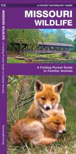 Missouri Wildlife - Pocket Guide