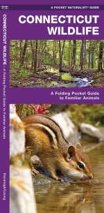 Connecticut Wildlife - Pocket Guide