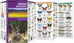 Idaho Wildlife