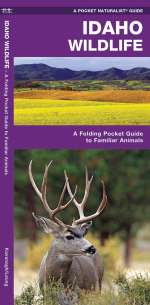 Idaho Wildlife - Pocket Guide