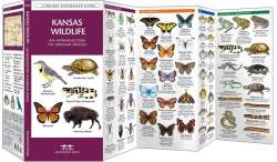 Kansas Wildlife