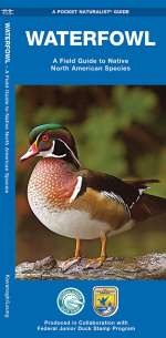 Waterfowl - Pocket Guide