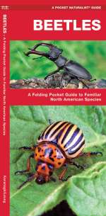 Beetles - Pocket Guide