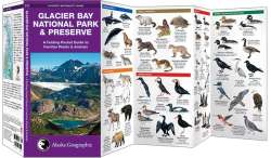 Glacier Bay National Park & Preserve