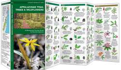 Appalachian Trail Trees & Wildflowers, Waterproof