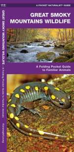 Great Smoky Mountains Wildlife - Pocket Guide
