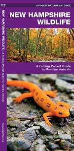 New Hampshire Wildlife - Pocket Guide