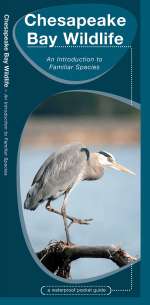 Chesapeake Bay Wildlife - Pocket Guide